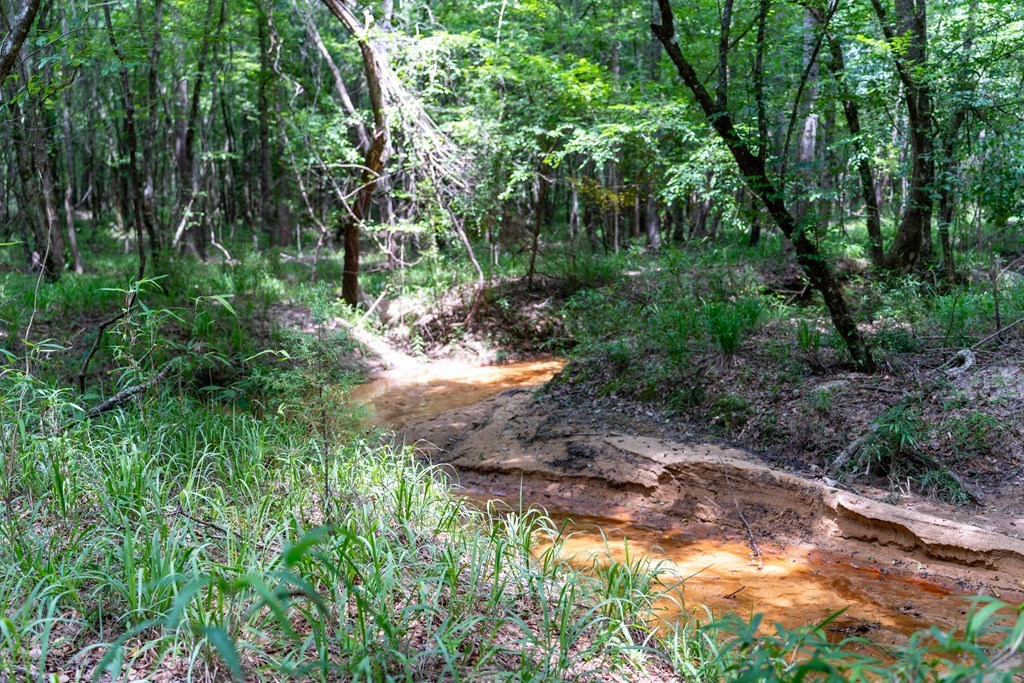 3 Comers Pond Road Pittsview, AL 36871 - Photo 12 of 51