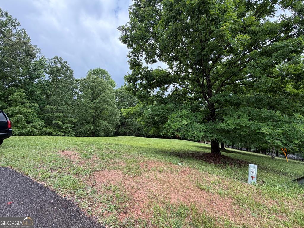 0 Drake Ridge Lane Hayesville, NC 28904 - Photo 5 of 6 a view of outdoor space with deck and yard