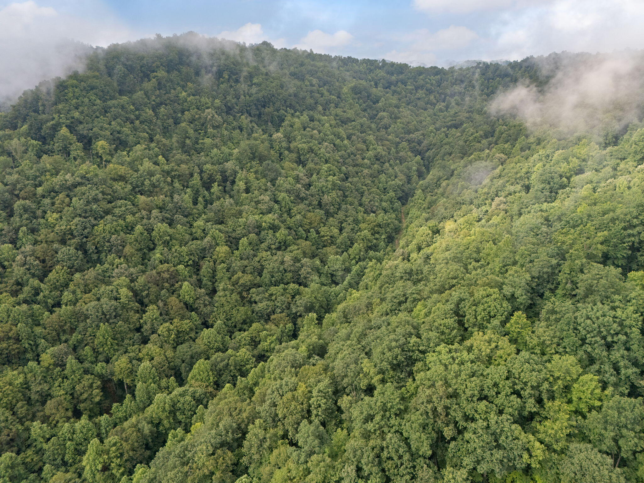 0 Hall Branch Road Topmost, KY 41862 - Photo 6 of 18 6-web-or-mls-DJI_20250722091453_0022_D