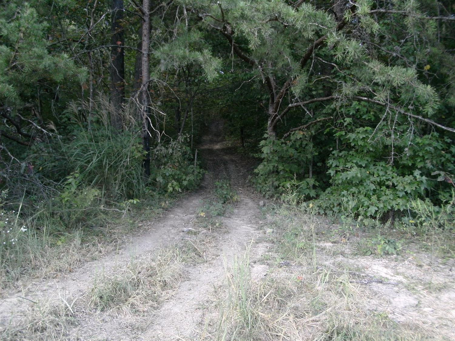 393 Valentine Branch Road Cannon, KY 40923 - Photo 22 of 22 Photo 22
