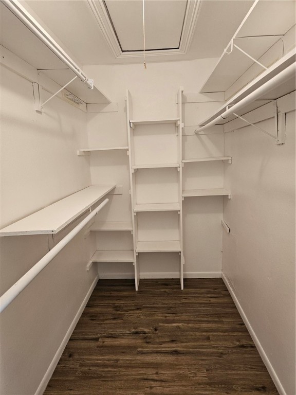 4813 Shadowbend Drive Corpus Christi, TX 78413 - Photo 8 of 12 a view of walk in closet with empty racks
