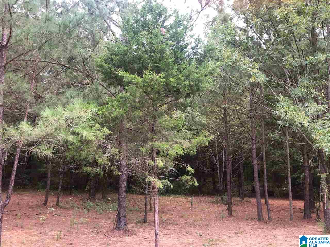 103 Cobb Road Munford, AL 36268 - Photo 27 of 32