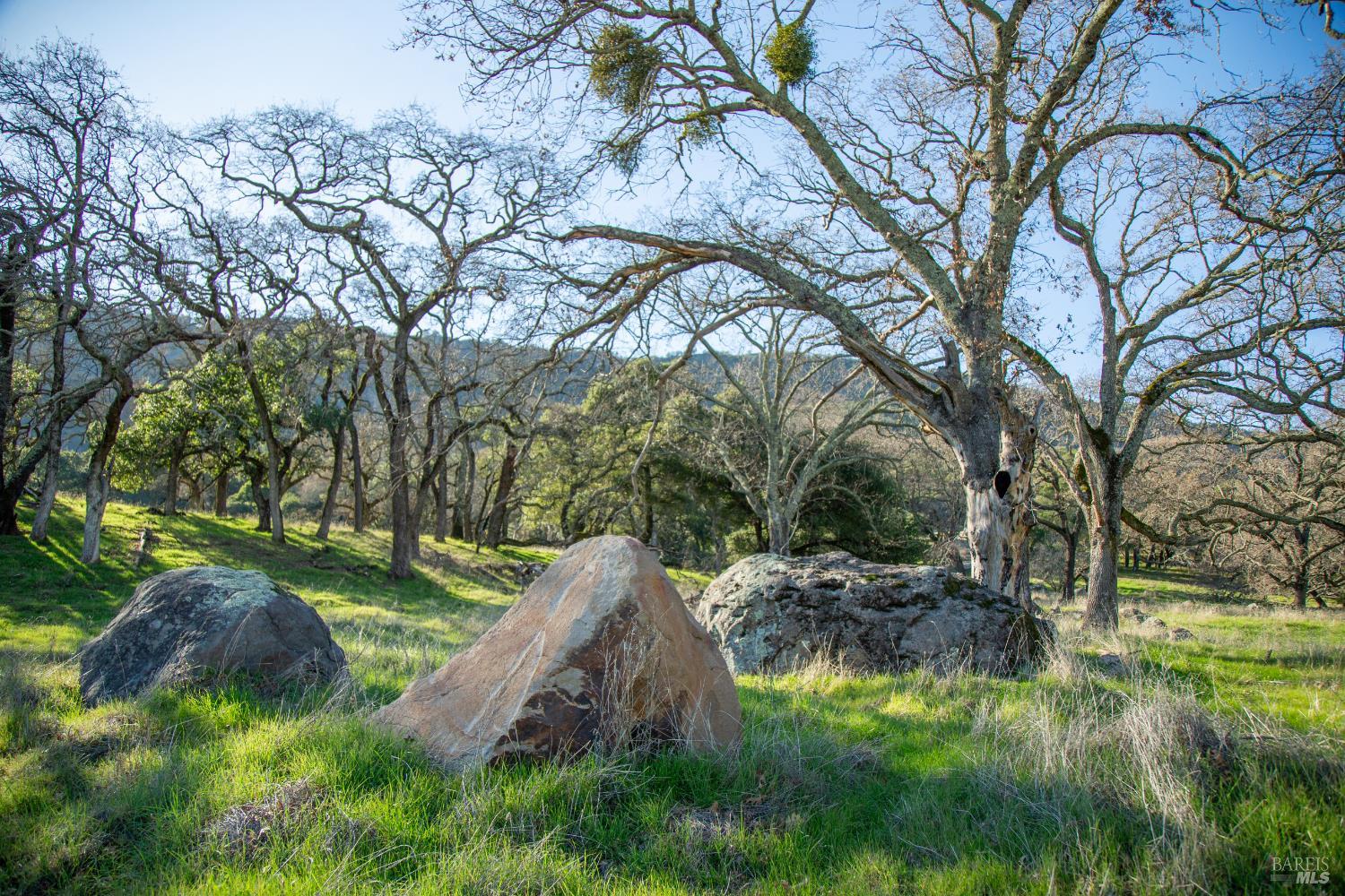 3576 Monticello Road Napa, CA 94558 - Photo 31 of 43