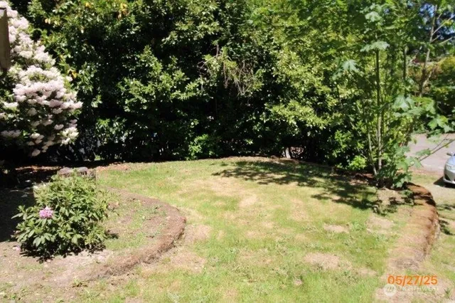 a view of yard with large trees