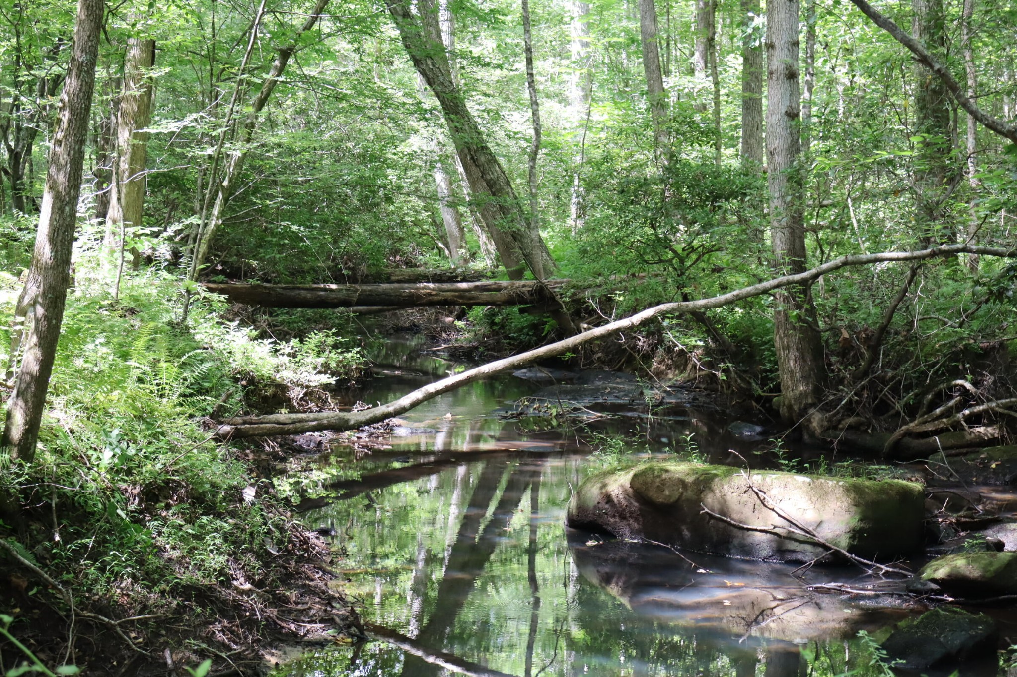 0 Big Mine Road Palmer, TN 37365 - Photo 14 of 19 a view of a lake from a balcony