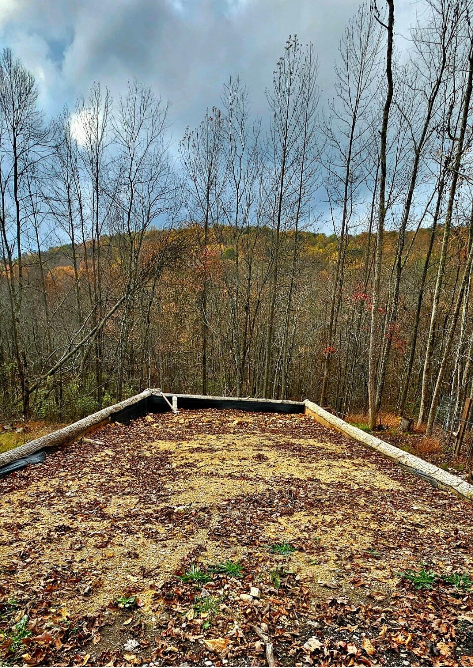 0 Big Mine Road Palmer, TN 37365 - Photo 4 of 19 a view of empty yard