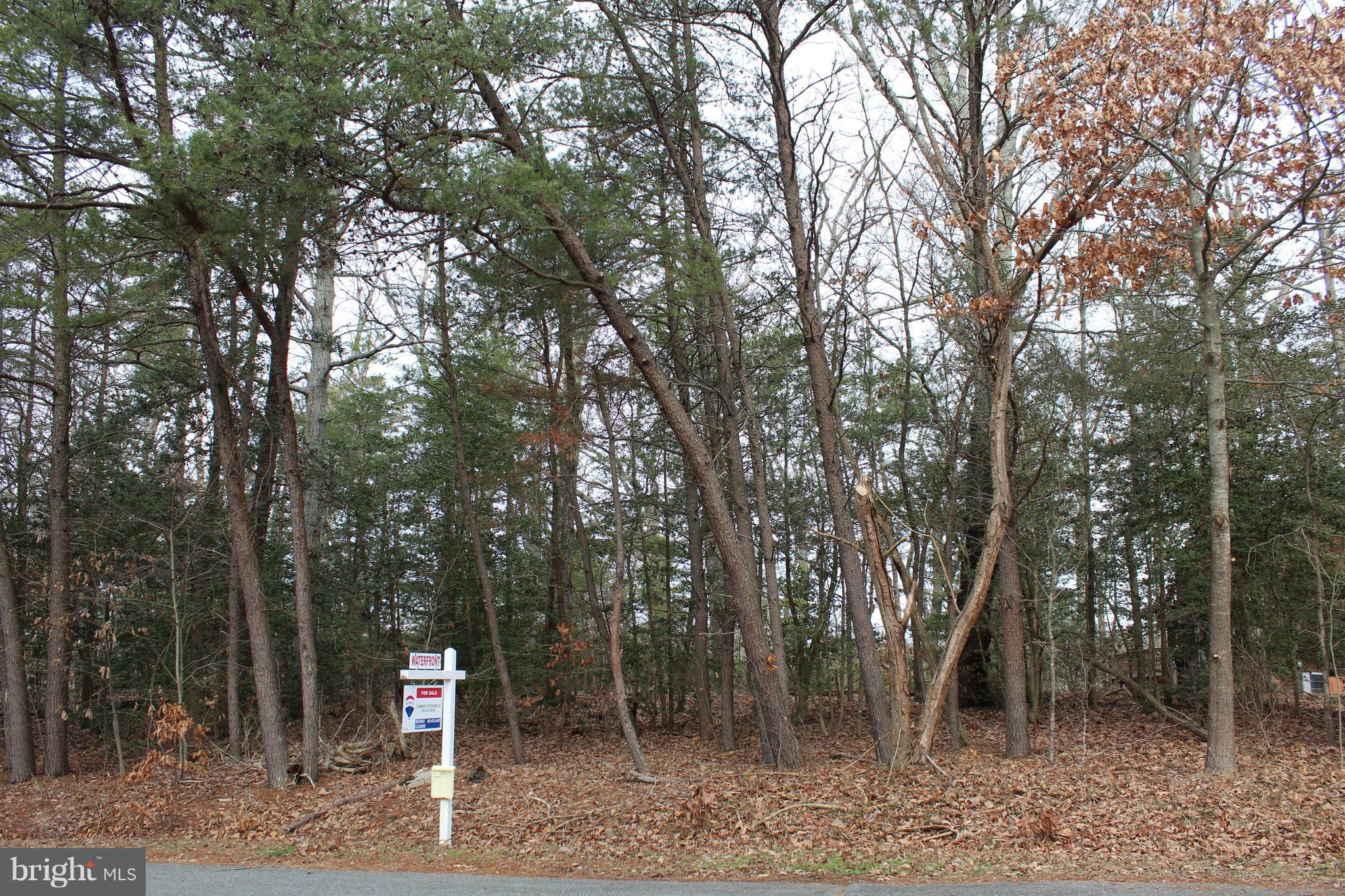 Post Oak Road St. Inigoes, MD 20684 - Photo 1 of 3 Exterior (General)
