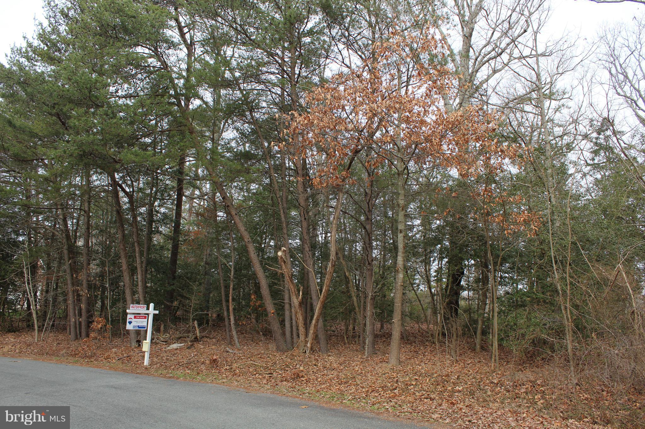 Post Oak Road St. Inigoes, MD 20684 - Photo 2 of 3 Exterior (General)