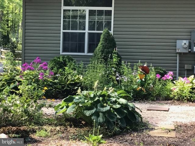25795 Garey Road Denton, MD 21629 - Photo 4 of 22 a house with a yard and potted plants