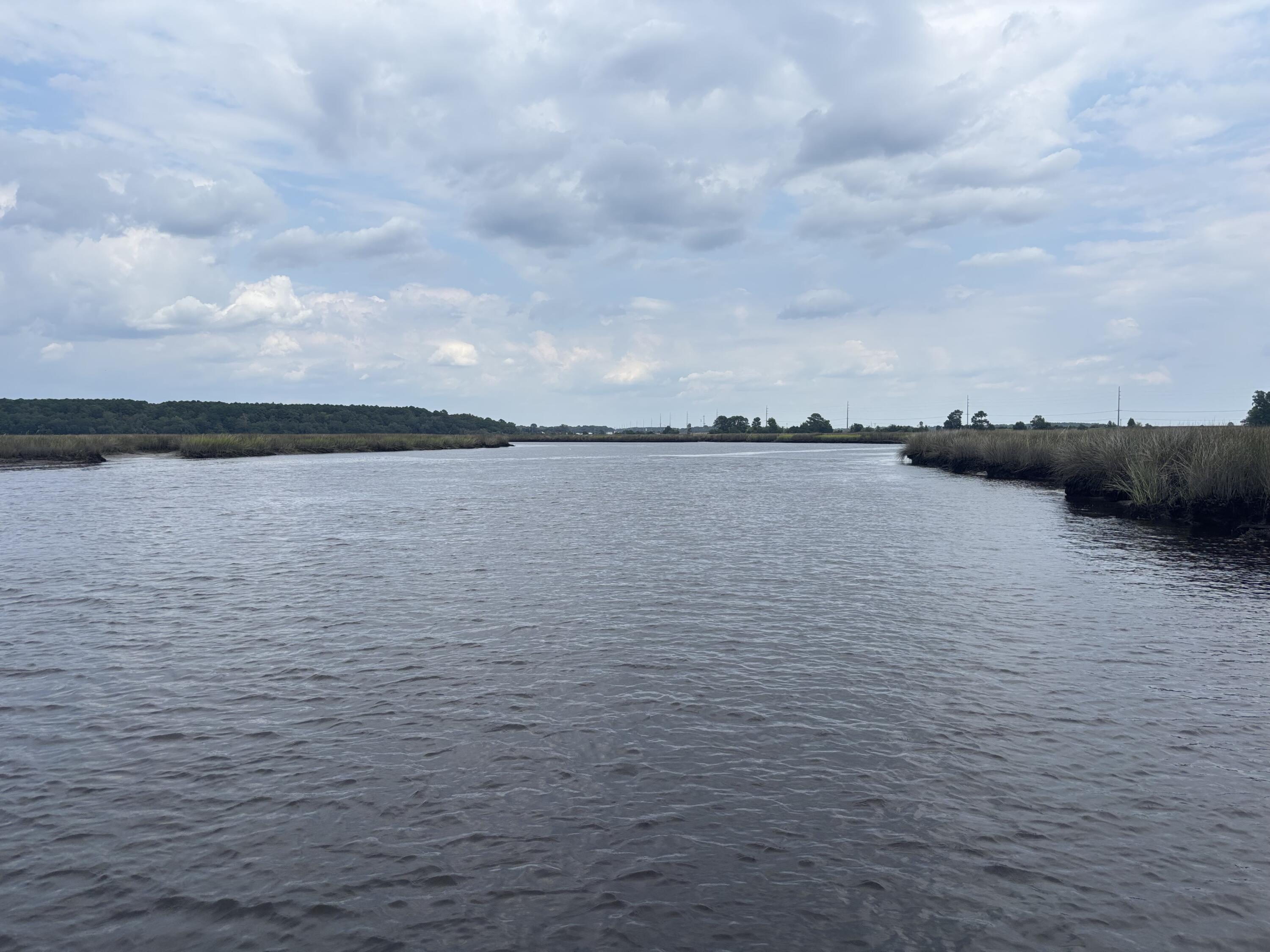 6061 Jacob's Point Boulevard Ravenel, SC 29470 - Photo 11 of 12 River view - Looking Southeast