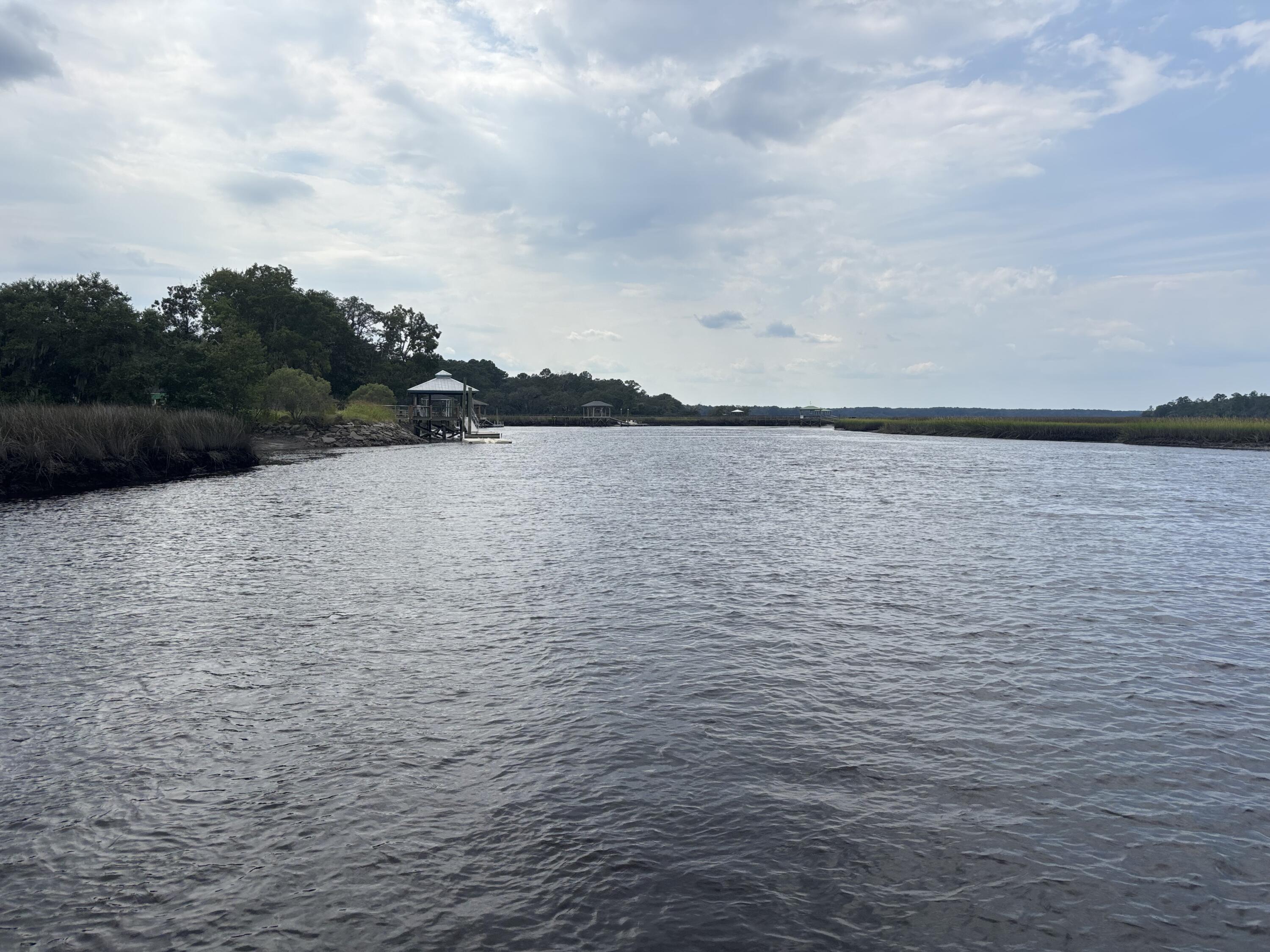 6061 Jacob's Point Boulevard Ravenel, SC 29470 - Photo 12 of 12 River view - Looking Northwest