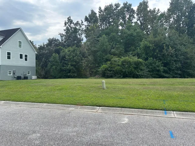$168,250 | 6061 Jacob's Point Boulevard, Hollywood, SC 29470