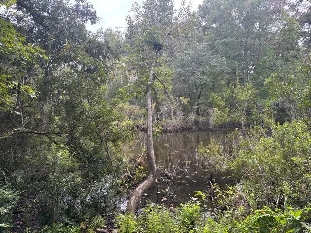 $168,250 | 6061 Jacob's Point Boulevard, Hollywood, SC 29470