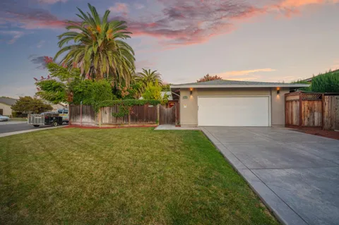 a palm tree sitting in front of a house with a yard