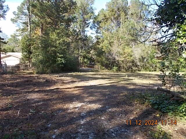 115 Fernleaf Street Moncks Corner, SC 29461 - Photo 17 of 20 DSCN5936