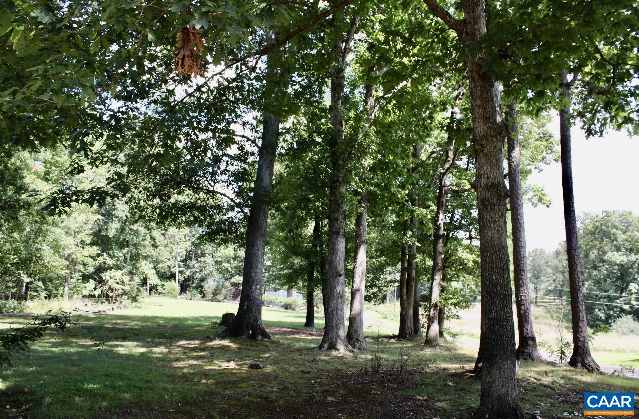 6790 Foster Ridge Charlottesville, VA 22903 - Photo 34 of 43 a big yard with lots of green space and trees