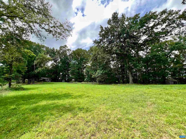 a view of a field with a tree