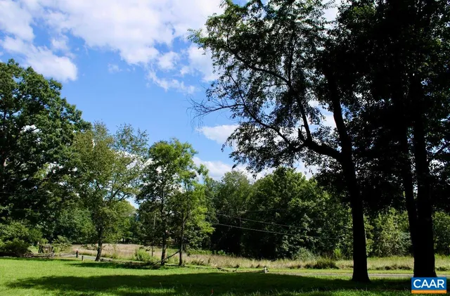 a view of a yard with large trees
