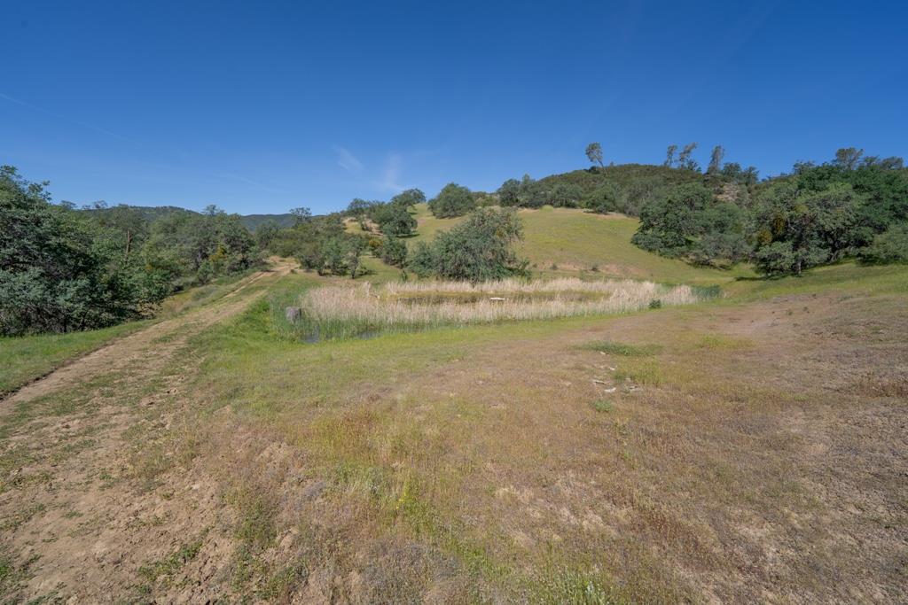 408901 North Fork Road Coalinga, CA 93210 - Photo 48 of 97 Gallery Image 48