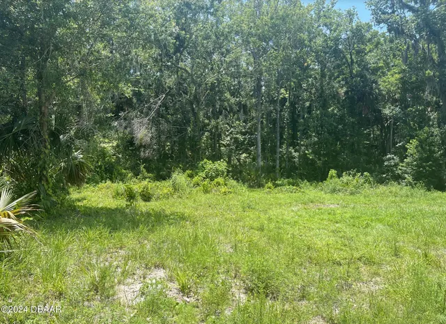 $72,500 | 308 Endora Street, Ormond Beach, FL 32174