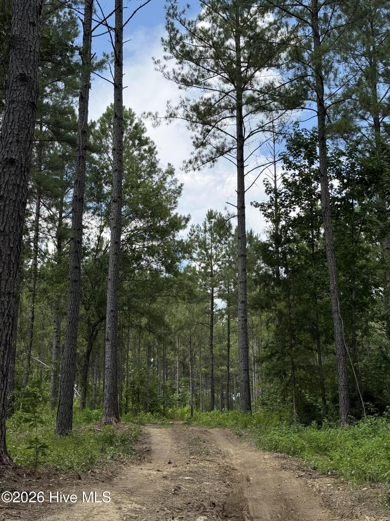 Lot 5 Christian Road McCormick, SC 29835 - Photo 5 of 14 IMG_2424