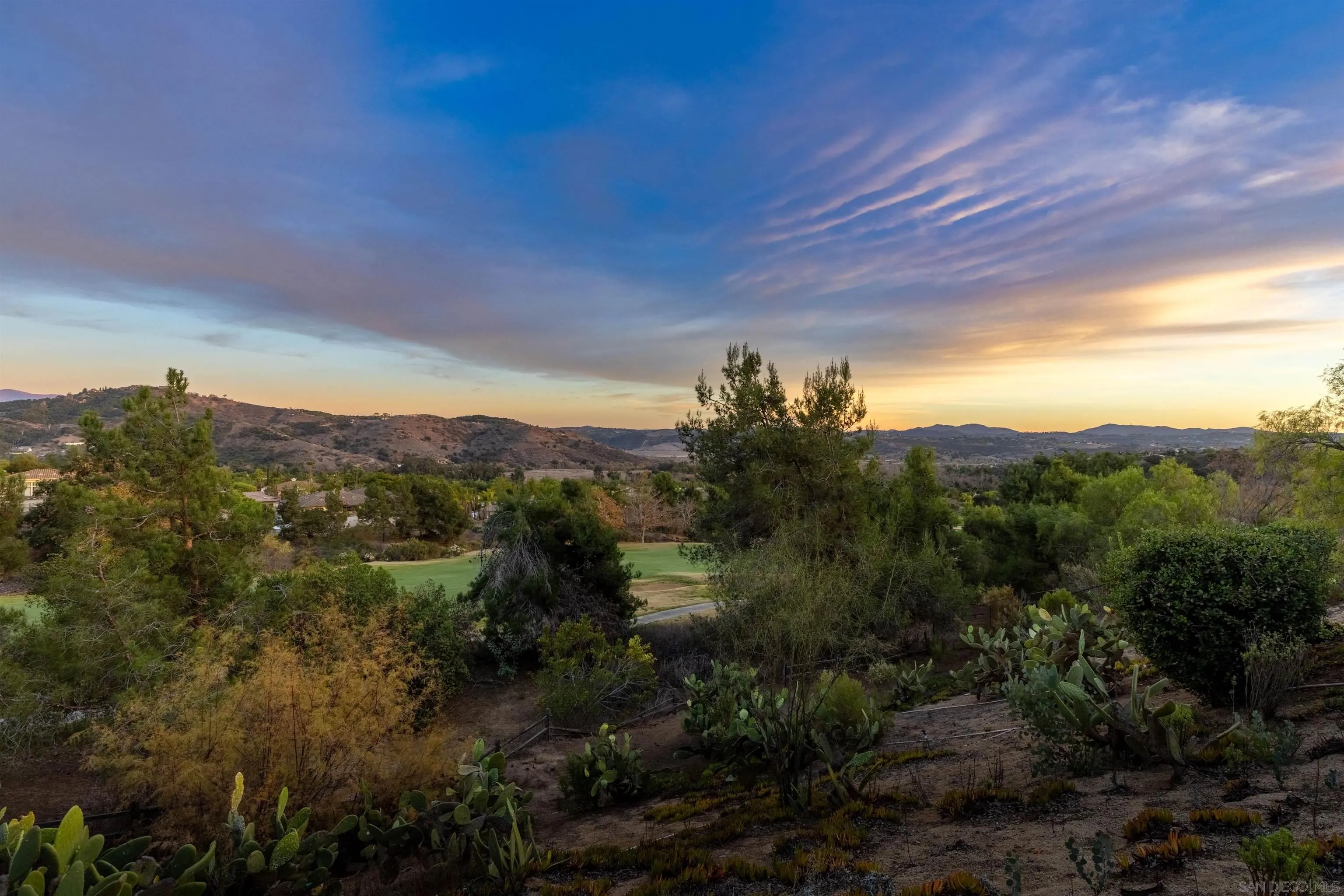 3640 Genista Place Fallbrook, CA 92028 - Photo 38 of 48 a view of a city with lush green forest