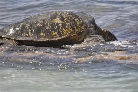 a view of an ocean from a balcony