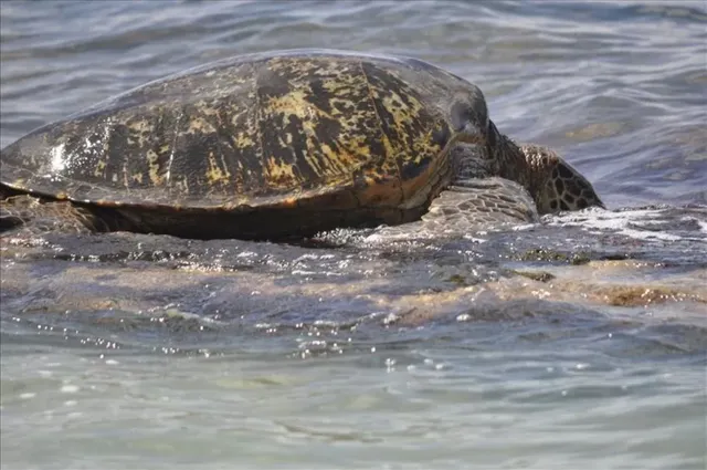 a view of an ocean from a balcony