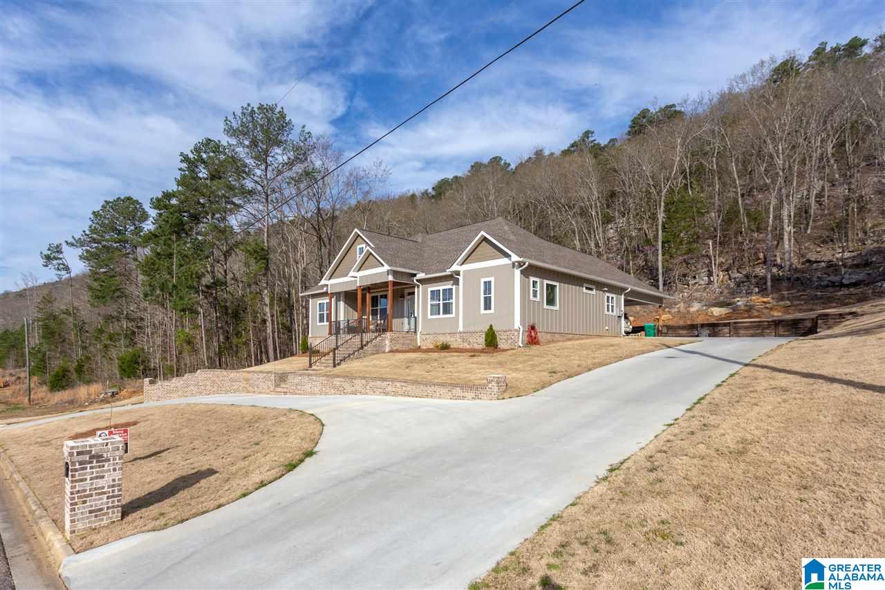 135 Christy Lane Oneonta, AL 35121 - Photo 2 of 43