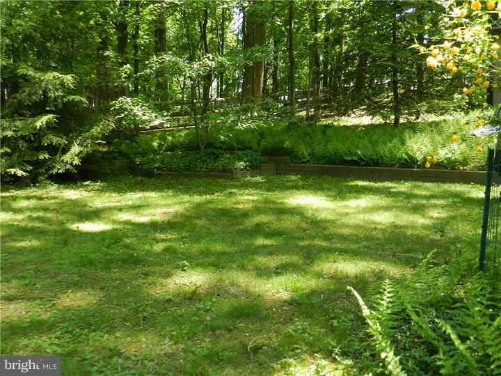 1055 East Sandy Ridge Road Doylestown, PA 18901 - Photo 10 of 24 Gallery Image 10