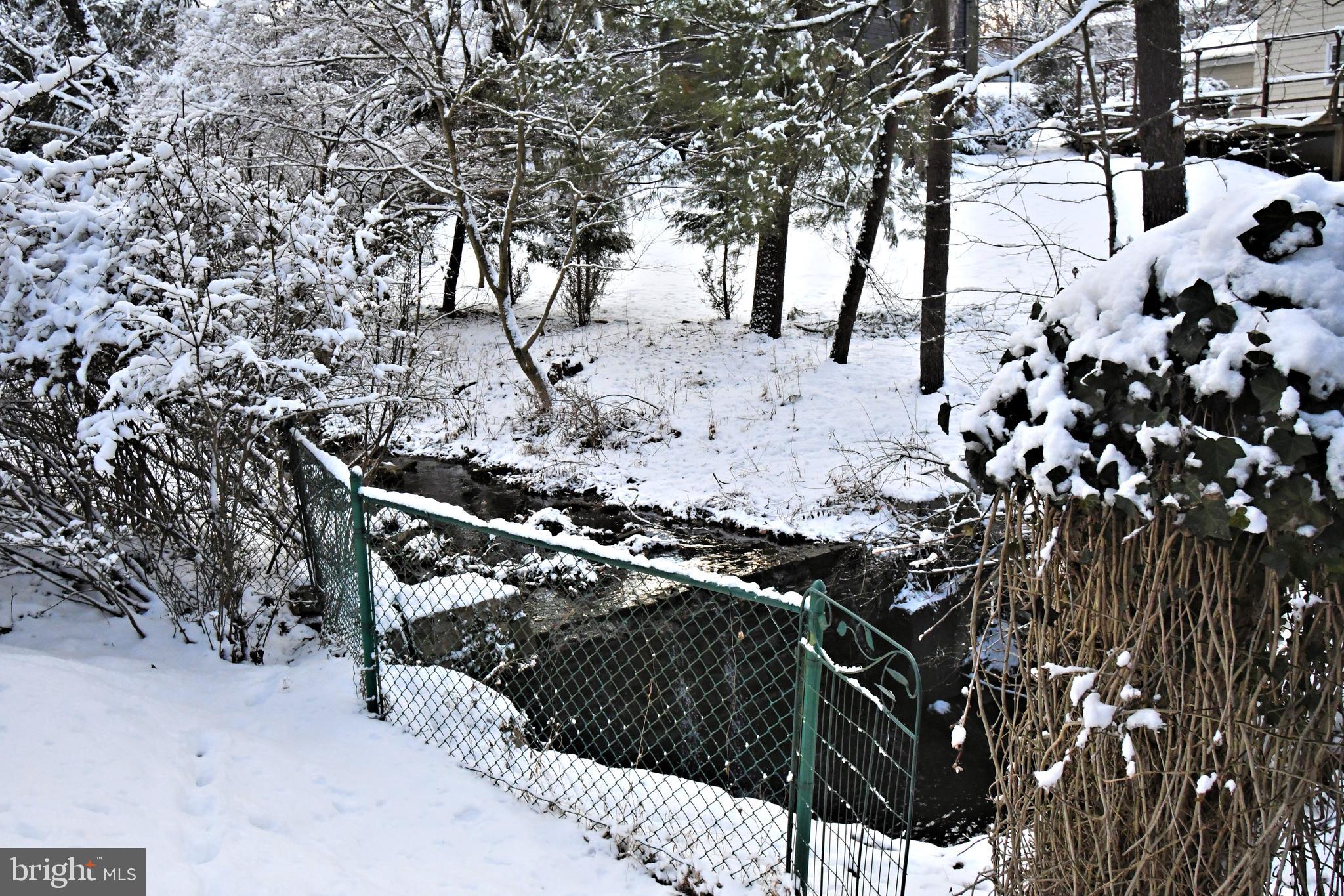 1113 Clark Road Wyndmoor, PA 19038 - Photo 62 of 68 a view of a yard with plants and trees