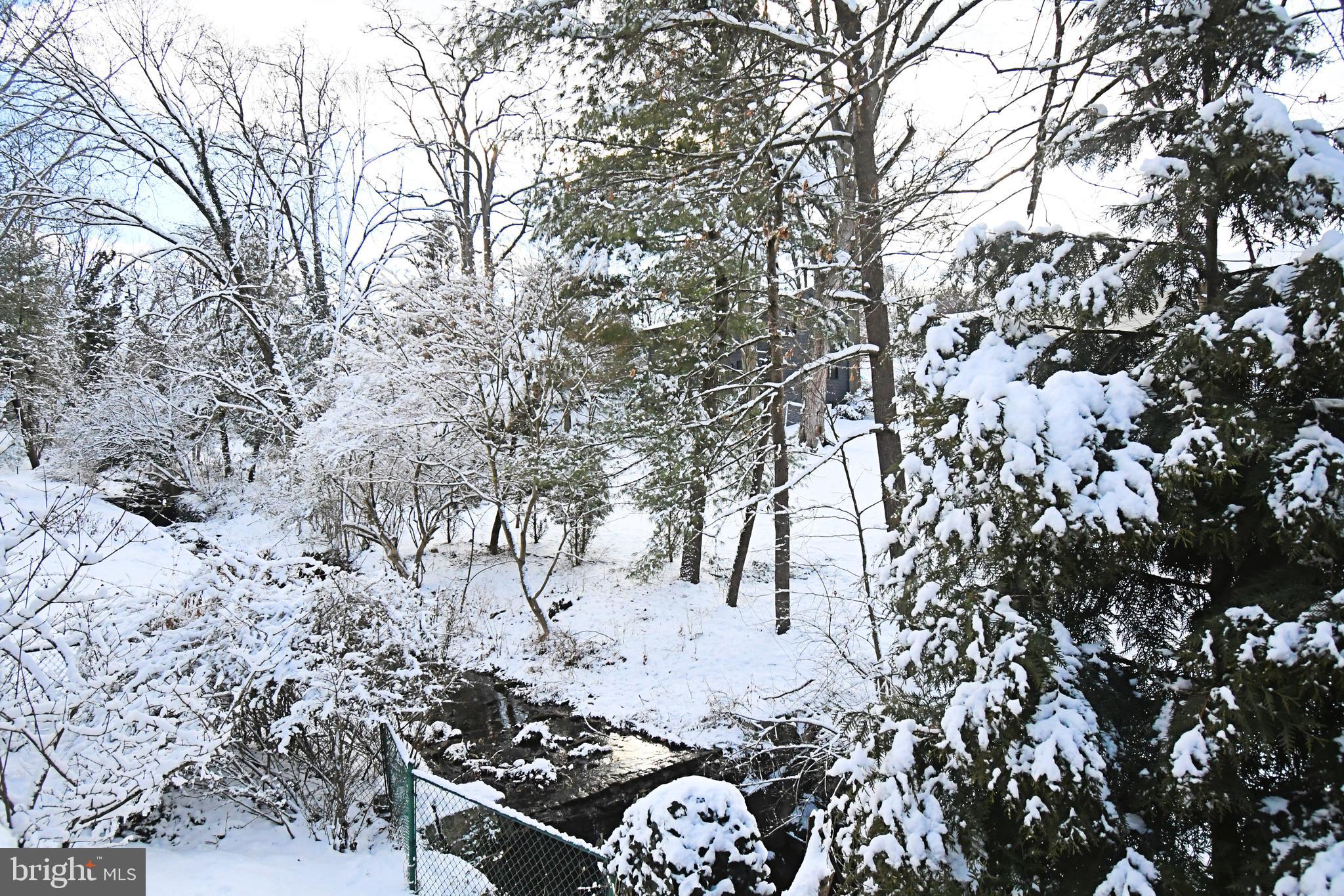1113 Clark Road Wyndmoor, PA 19038 - Photo 67 of 68 a view of a yard with some trees