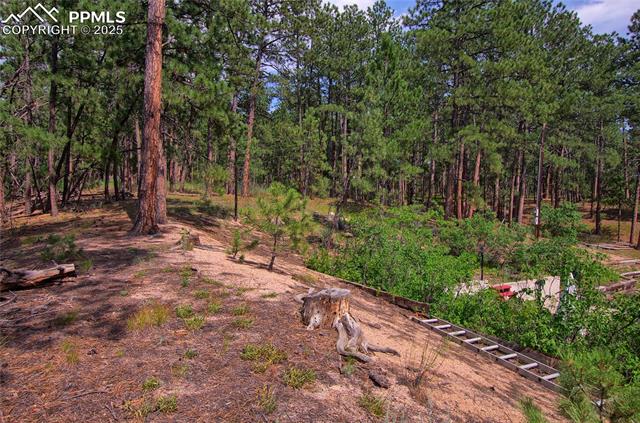 14535 Roller Coaster Road Colorado Springs, CO 80921 - Photo 33 of 43 Gallery Image 33