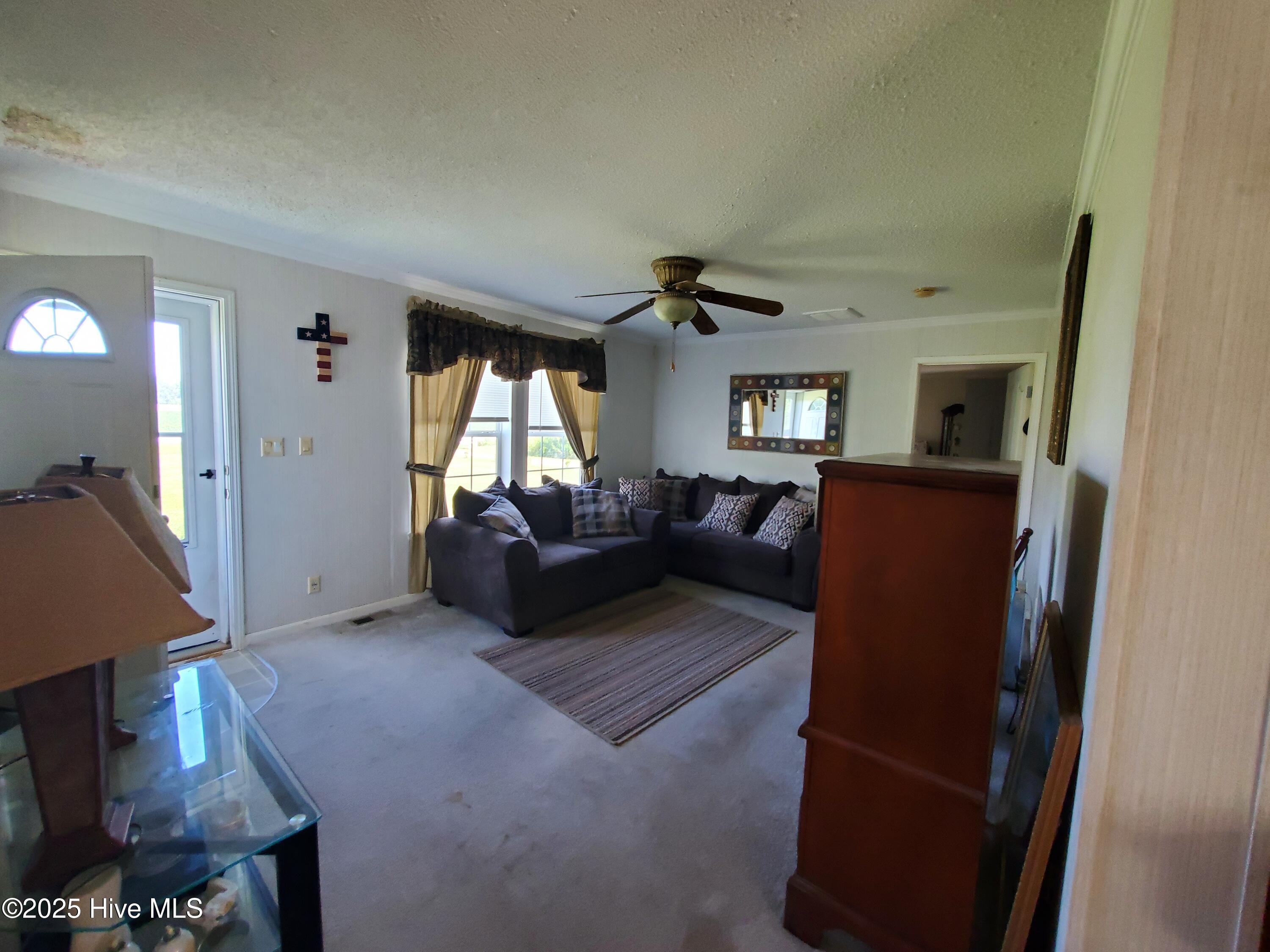 438 Stell Road Bath, NC 27808 - Photo 4 of 22 Main entry 2