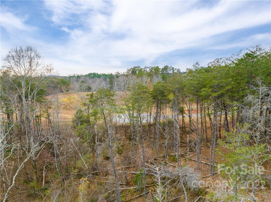 Lot 60 High Meadows Dr Mill Spring Mill Spring, NC 28756 - Photo 7 of 14 Gallery Image 7