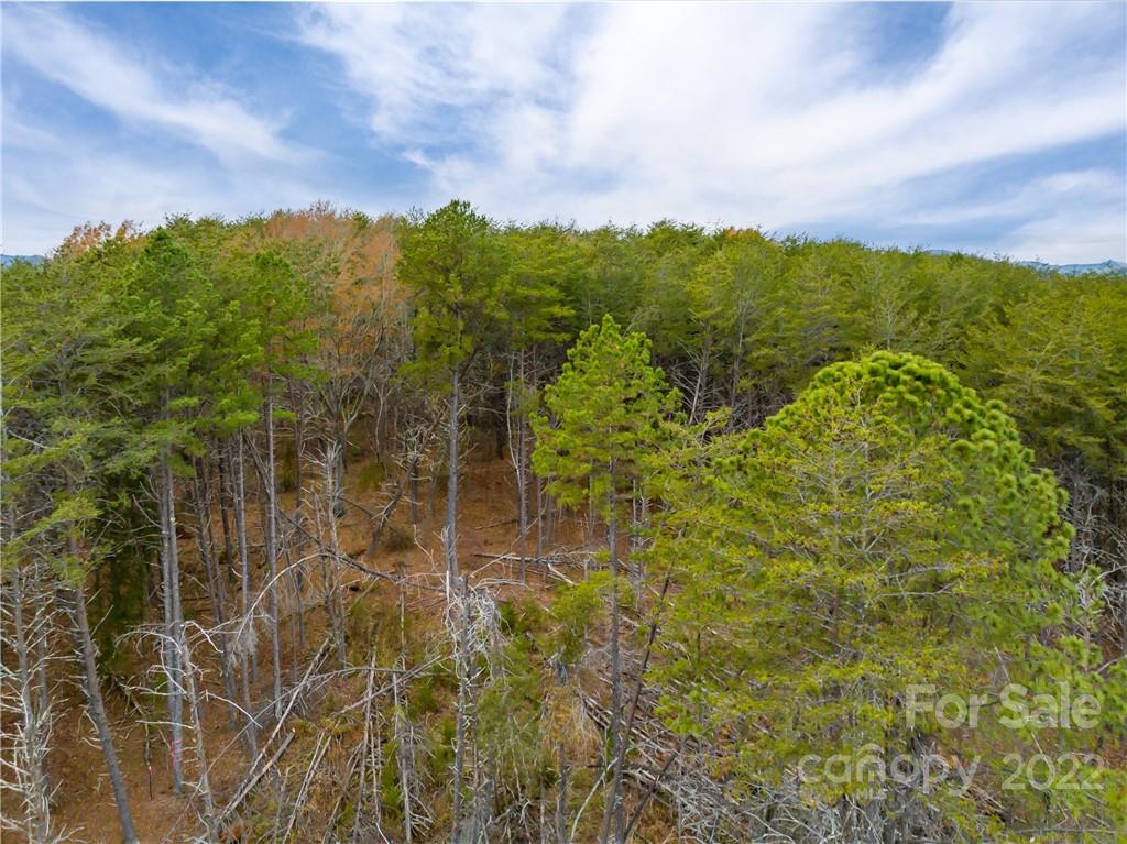 Lot 60 High Meadows Dr Mill Spring Mill Spring, NC 28756 - Photo 8 of 14 Gallery Image 8