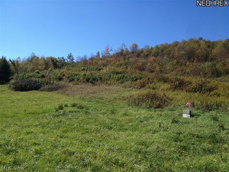 999 Roxford Church Road Southeast Sherrodsville, OH 44675 - Photo 6 of 6