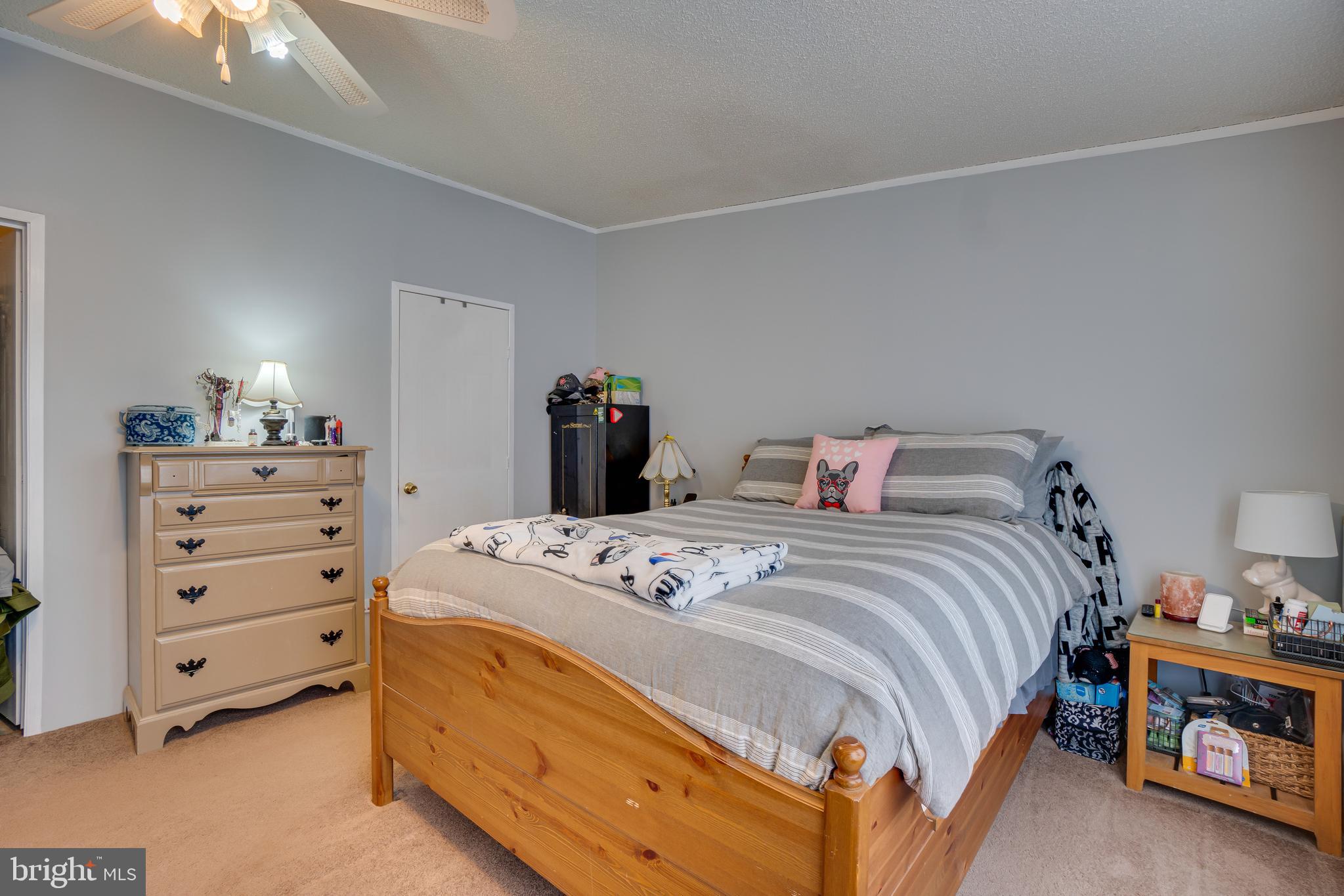 16067 Stevensburg Road Brandy Station, VA 22714 - Photo 22 of 41 Gallery Image 22