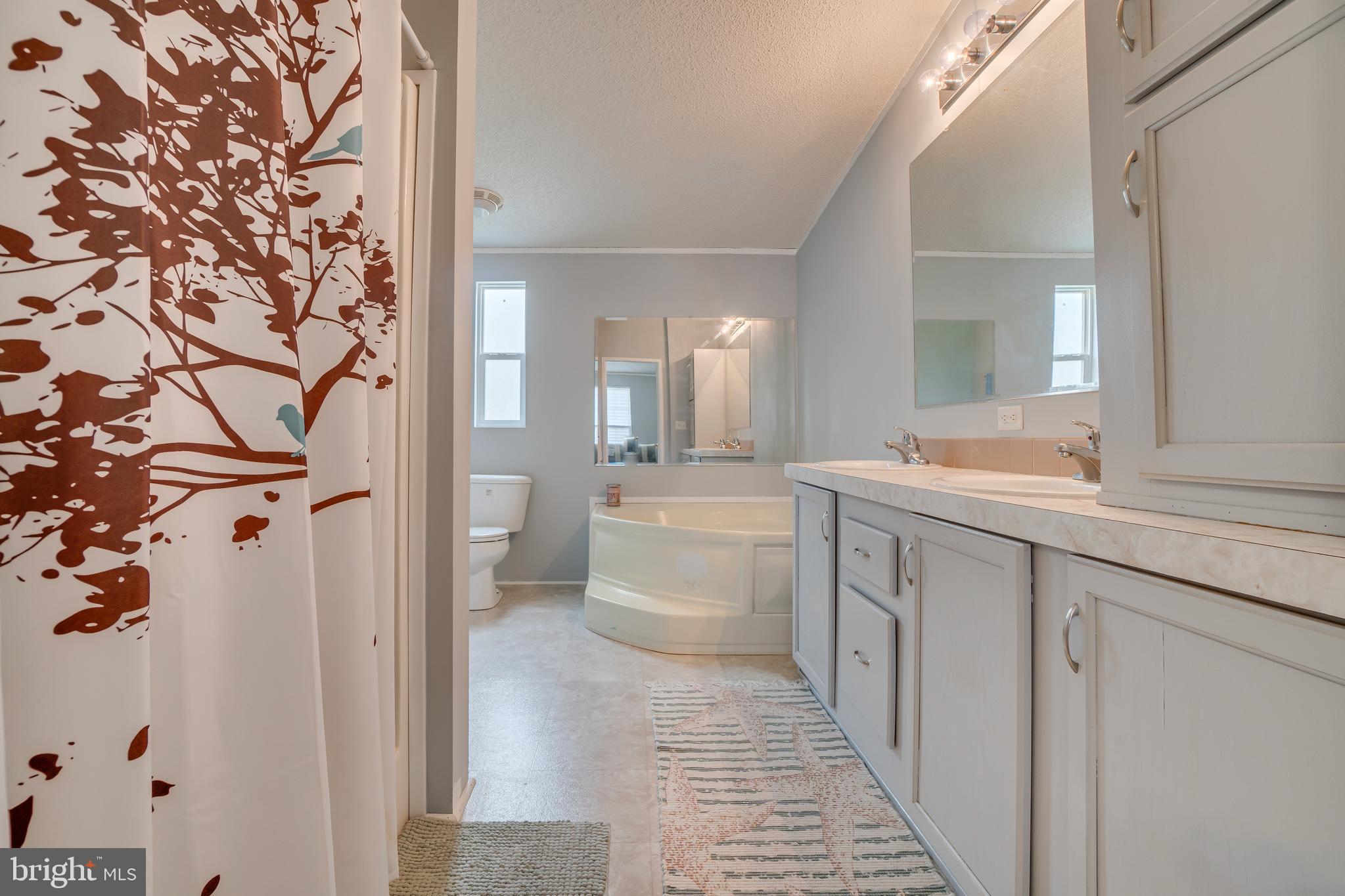16067 Stevensburg Road Brandy Station, VA 22714 - Photo 24 of 41 Soaking Tub and Stand up Shower
