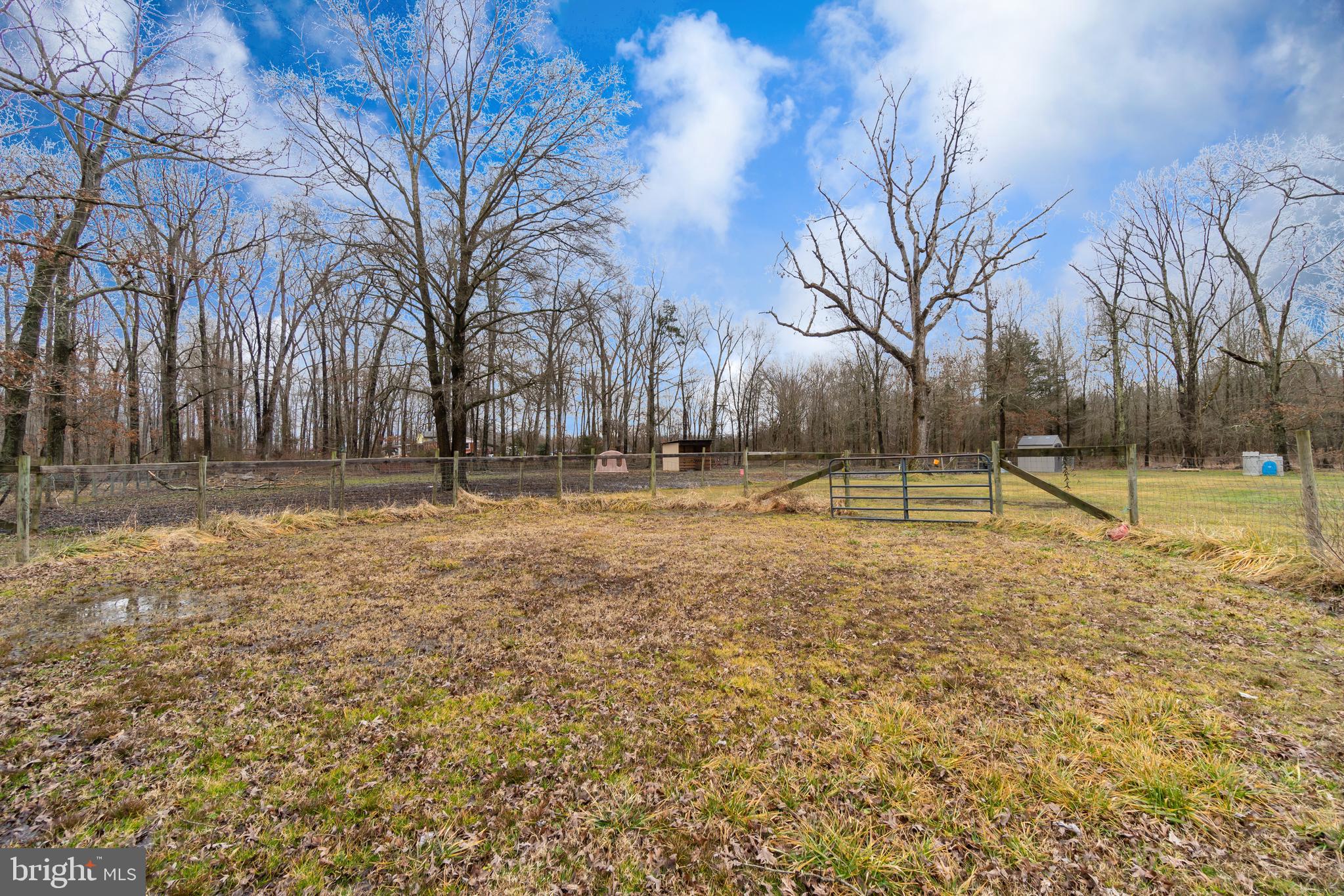 16067 Stevensburg Road Brandy Station, VA 22714 - Photo 37 of 41 Bring your Horses & Animals!