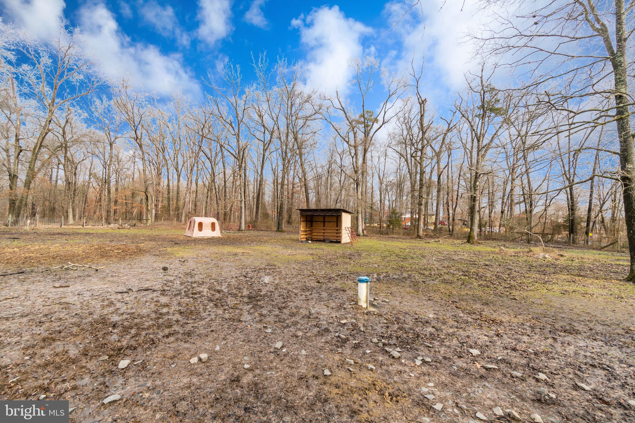 16067 Stevensburg Road Brandy Station, VA 22714 - Photo 39 of 41 Gallery Image 39