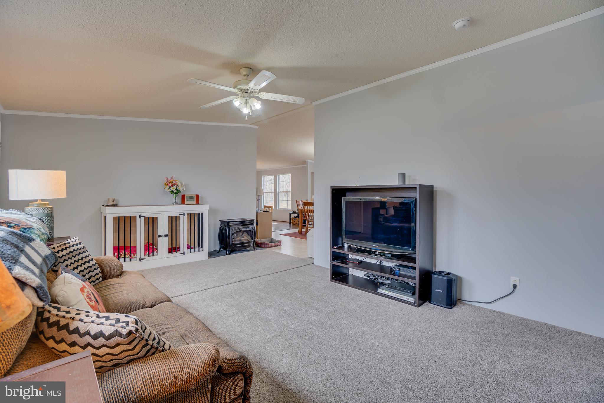 16067 Stevensburg Road Brandy Station, VA 22714 - Photo 7 of 41 Propane Fireplace in Living Room
