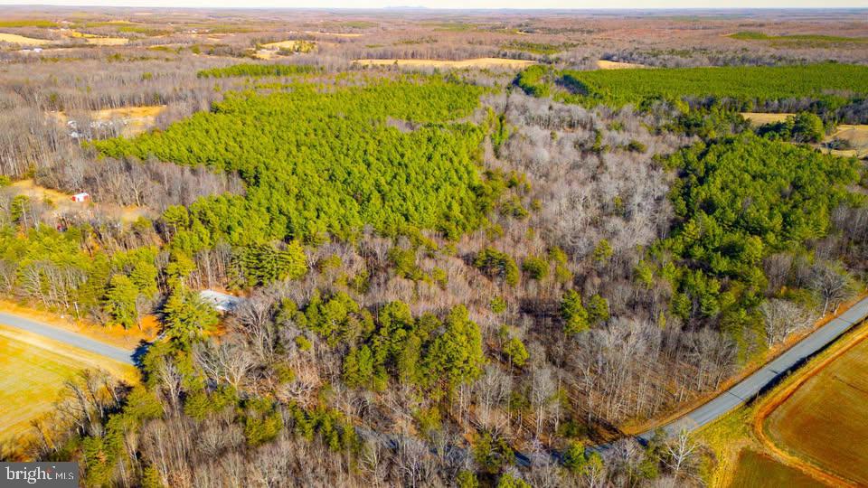 Redfields Road Appomattox, VA 24522 - Photo 2 of 10 Gallery Image 2