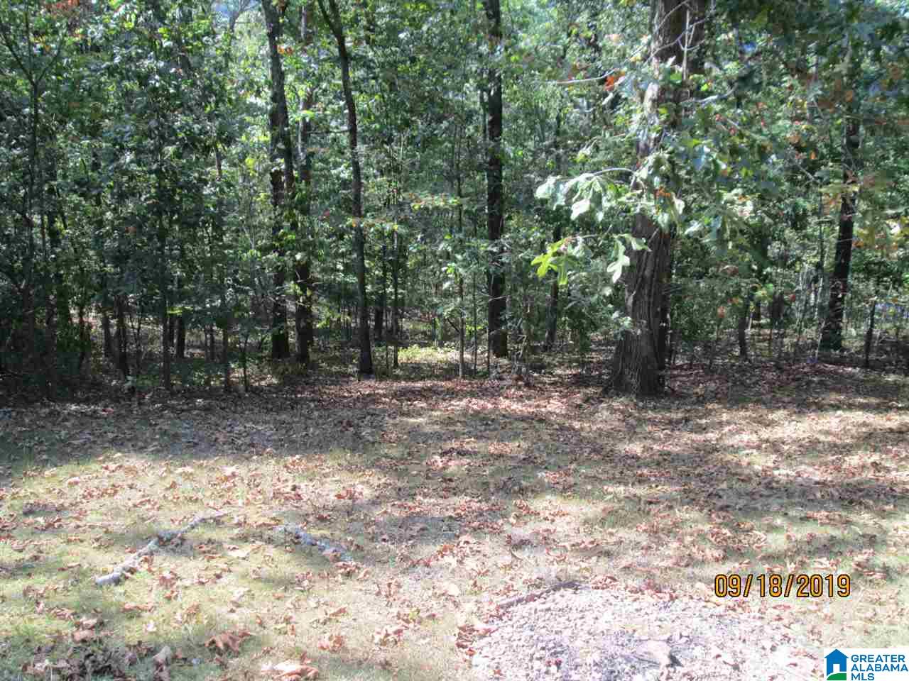86 Red Valley Circle Remlap, AL 35133 - Photo 10 of 46