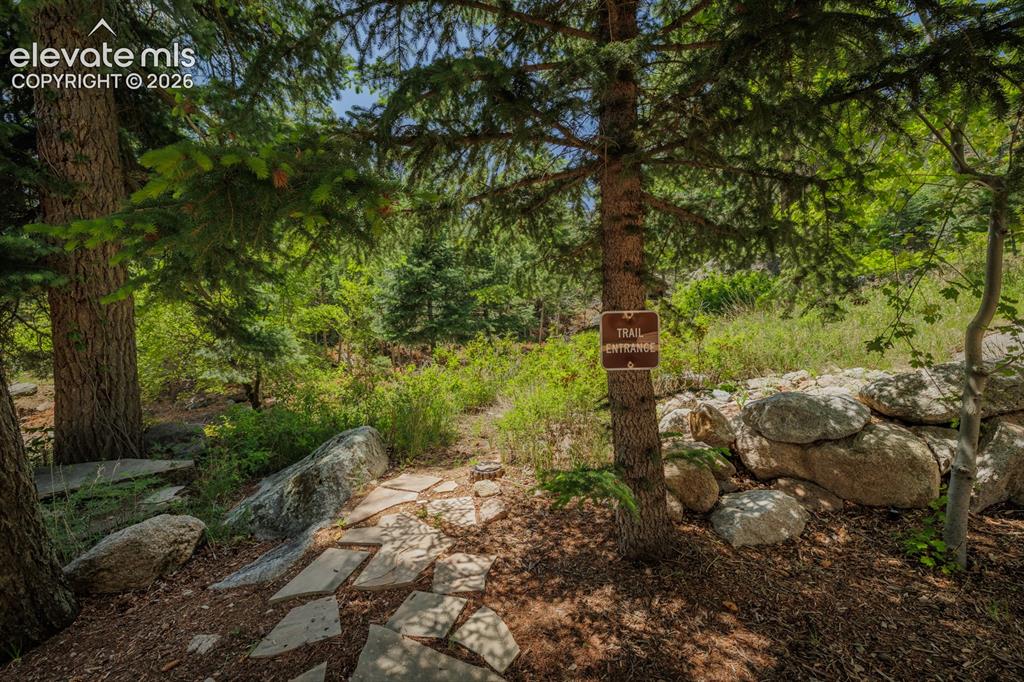 4530 Governors Point Colorado Springs, CO 80906 - Photo 48 of 49 Trail from the upper main garage driveway to National forest. The owner put the trail in.