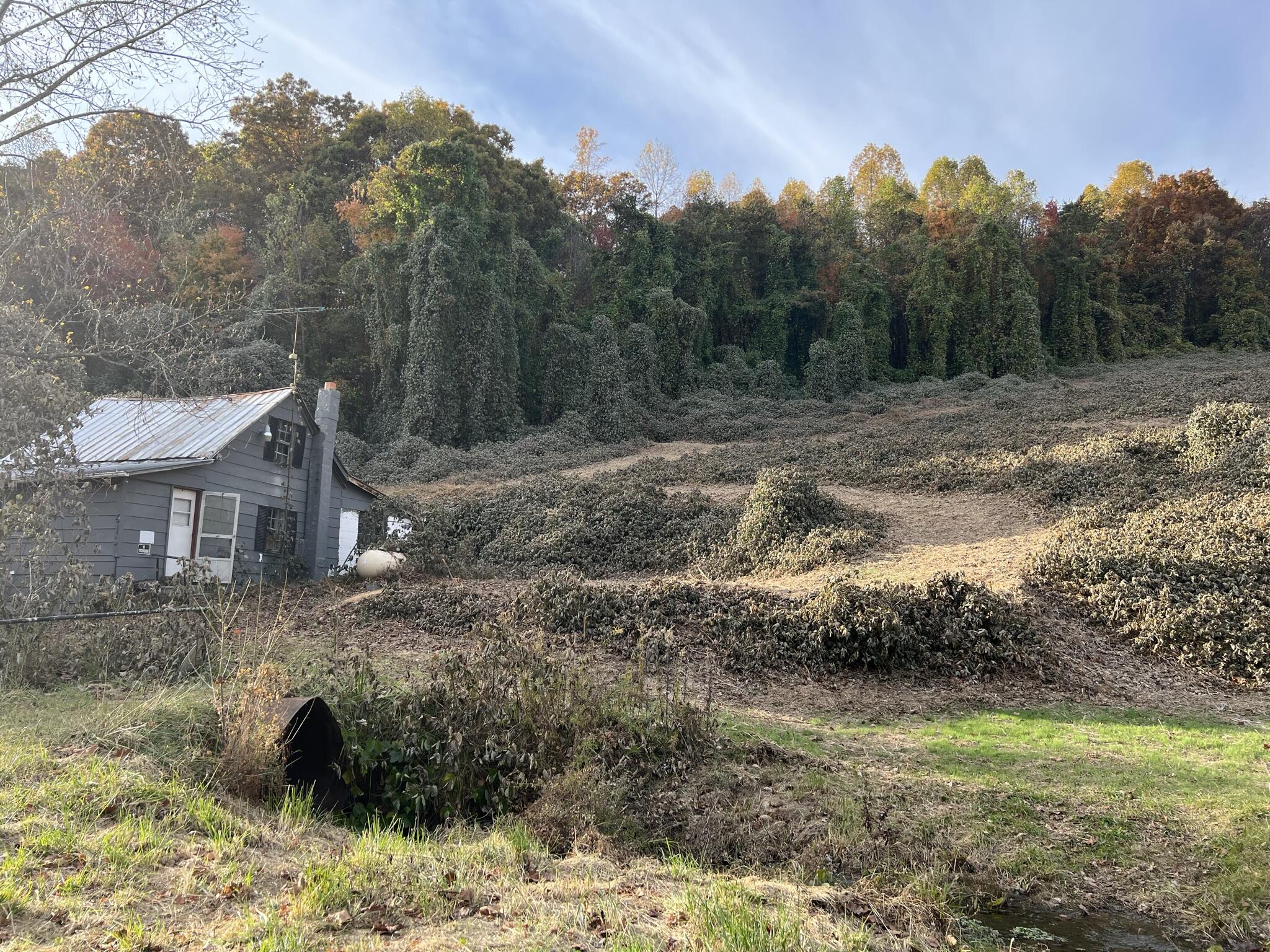 614 Gass Memorial Road Greeneville, TN 37745 - Photo 1 of 47 IMG_6833