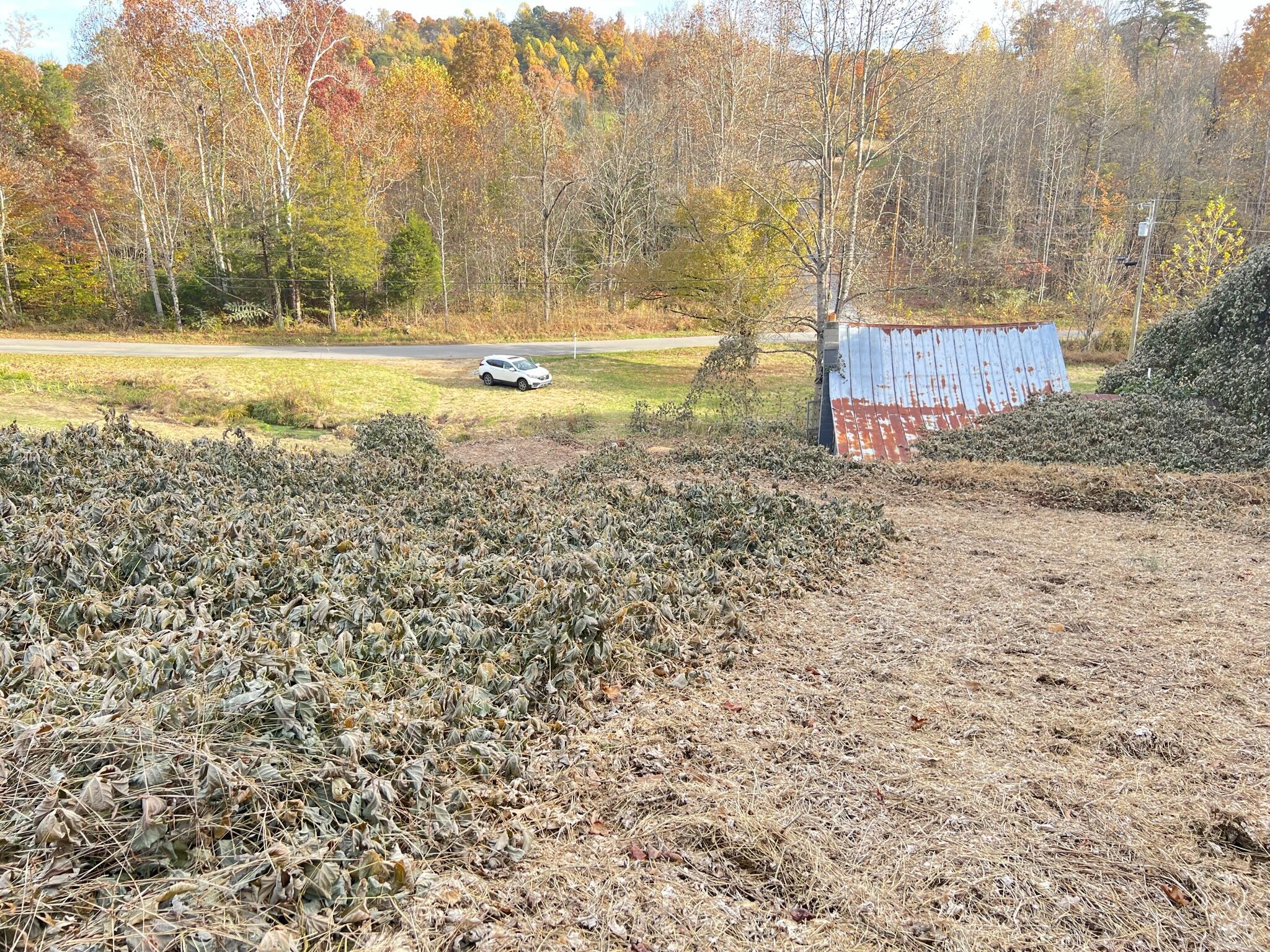 614 Gass Memorial Road Greeneville, TN 37745 - Photo 12 of 47 IMG_6841