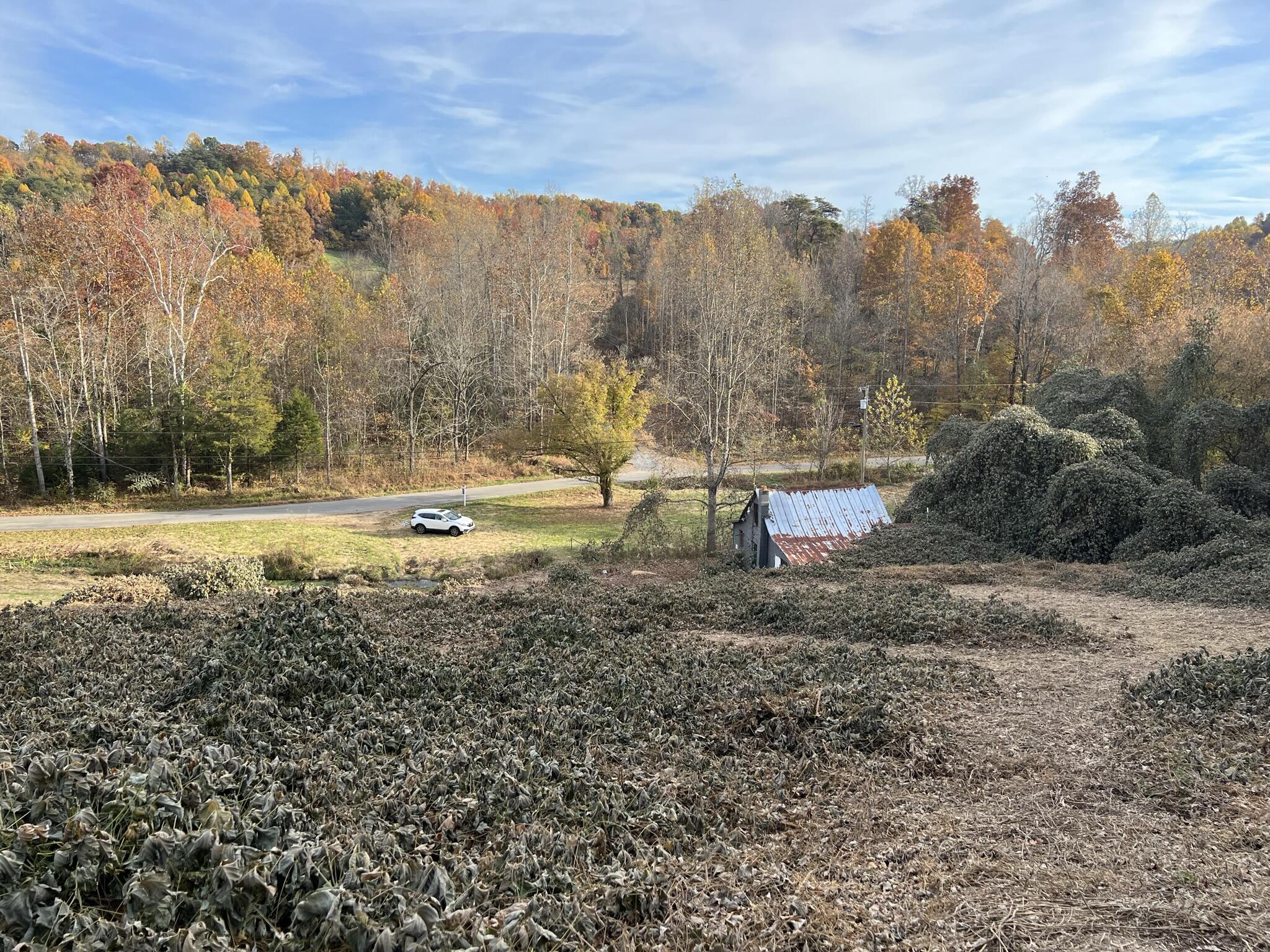 614 Gass Memorial Road Greeneville, TN 37745 - Photo 13 of 47 IMG_6842