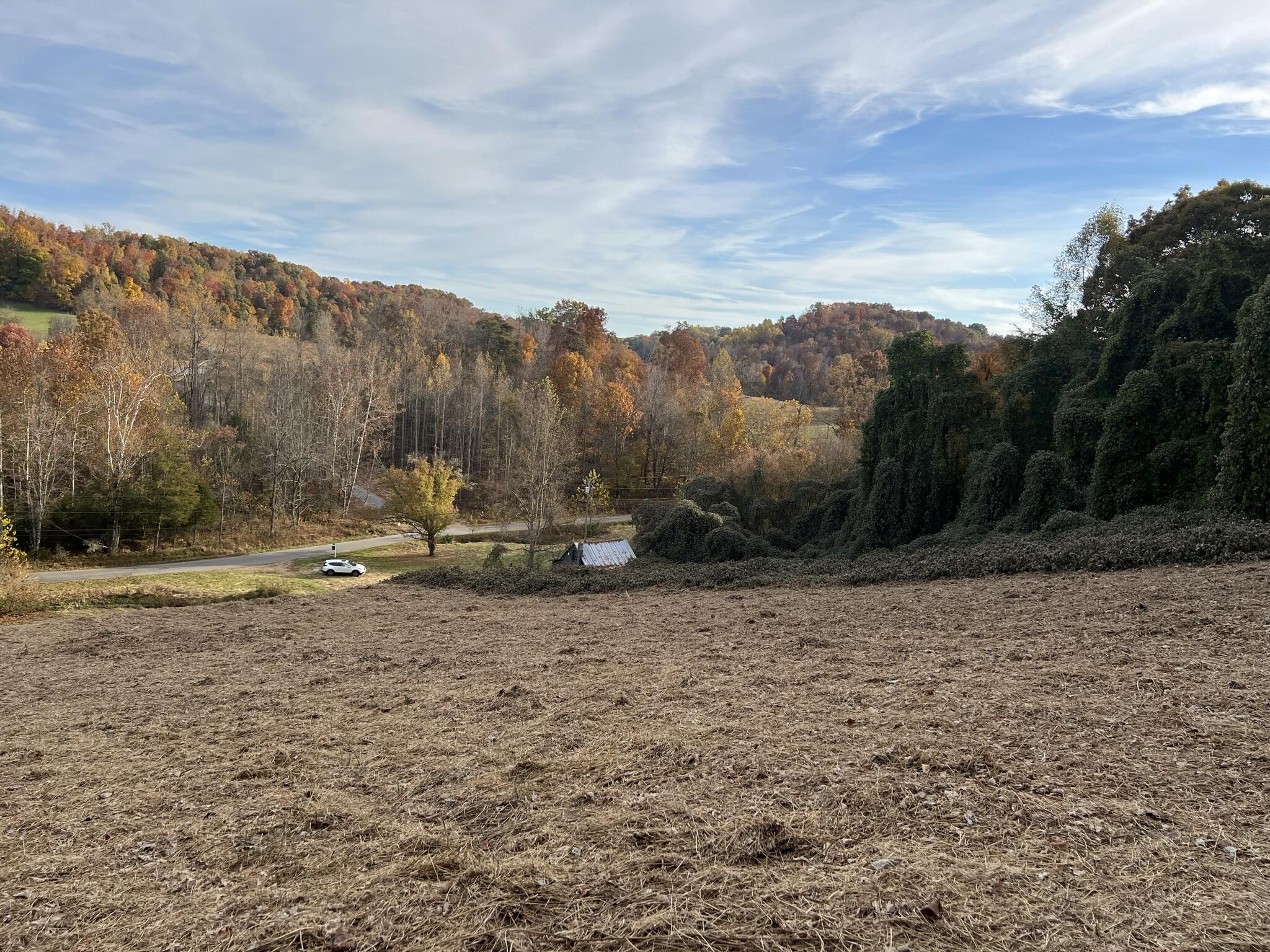 614 Gass Memorial Road Greeneville, TN 37745 - Photo 16 of 47 IMG_6845