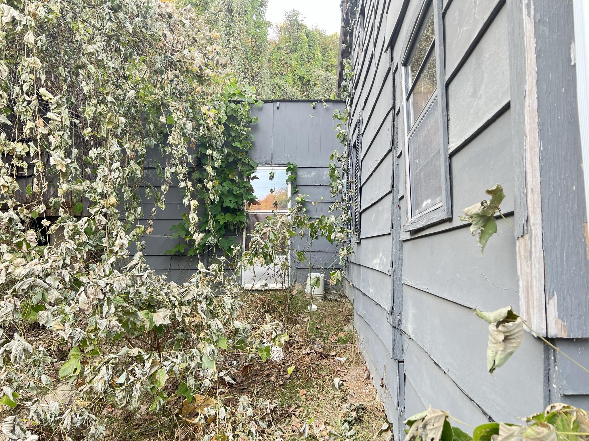 614 Gass Memorial Road Greeneville, TN 37745 - Photo 20 of 47 IMG_6849